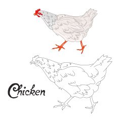 Educational game coloring book hen bird vector N2