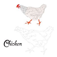 Educational game connect dots to draw hen bird N2
