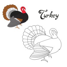 Educational game coloring book turkey bird vector N2