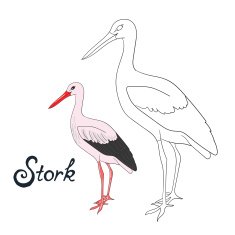Educational game coloring book stork bird vector N2
