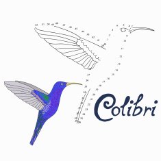 Educational game connect dots to draw colibri bird N2