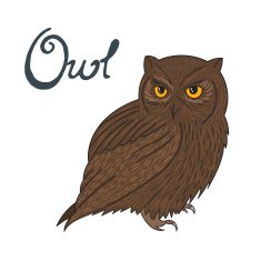 Bird owl vector illustration N2