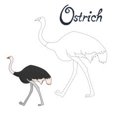 Educational game connect dots to draw ostrich bird N2