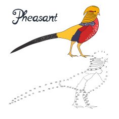 Educational game connect dots draw pheasant bird N4