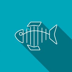 Vector icon of fishbone N2