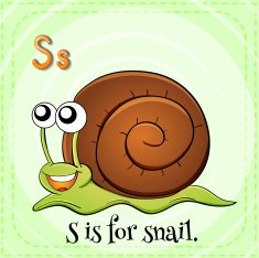 Flashcard letter S snail