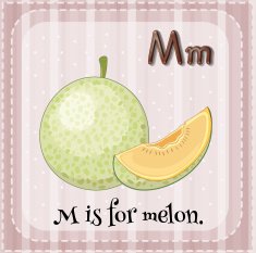 Flashcard letter M melon