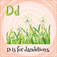 Flashcard letter D dandelions