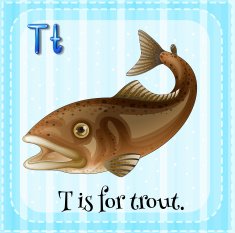 Flashcard of T trout N2