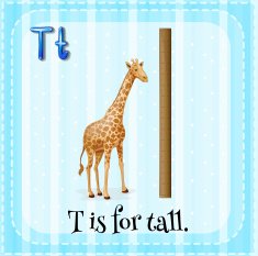Flashcard letter T tall