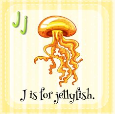 Flashcard letter J jellyfish