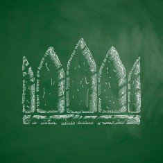 Crown Icon N2