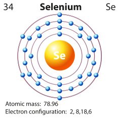 Symbol and electron diagram for Selenium