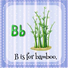 Flashcard letter B bamboo