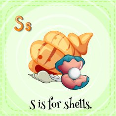 Flashcard letter S shells