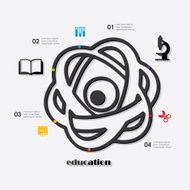 Education Infographic N11