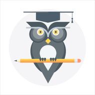 Owl flat style colorful vector icon for info graphics website
