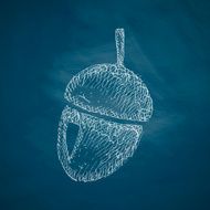 Acorn Icon N3