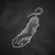 cucumber icon