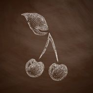 Cherry Icon N2