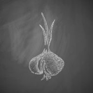 onion icon