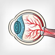 Eyeball x ray vector cartoon illustration