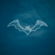 bat icon N2