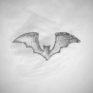 bat icon N3