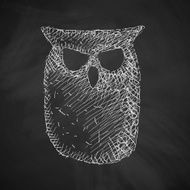 Owl Icon N5