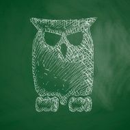 Owl Icon N6