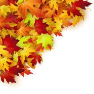 Vector background with colorful autumn leaves card template natural backdrop