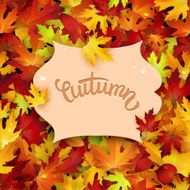 Vector illustration with colorful autumn leaves card template natural backdrop