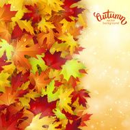 Vector background with colorful autumn leaves card template natural backdrop N4