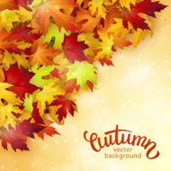 Vector background with colorful autumn leaves card template natural backdrop N5