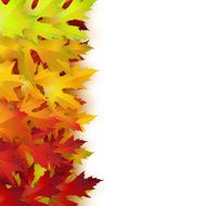 Vector background with colorful autumn leaves card template natural backdrop N6