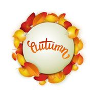 Autumn card colorful leaves background vector illustration