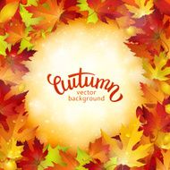 Vector background with colorful autumn leaves card template natural backdrop N7