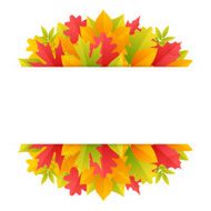 Colorful Autumn Background with Leaves