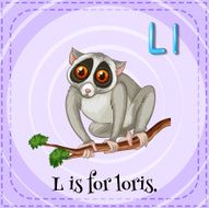 Flashcard L loris