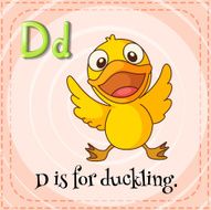 Flashcard letter D