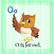 Alphabet O owl