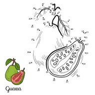 Numbers vector game fruits and vegetables (guava) N2