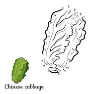 Numbers game fruits and vegetables (chinese cabbage) N2
