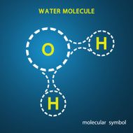 Sign of the water molecule is a vector