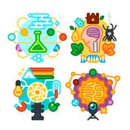 School subjects N7