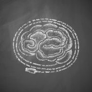 Brain Icon N3