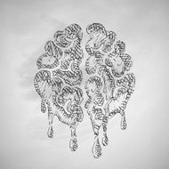 Brain Icon N6