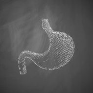 stomach icon N3