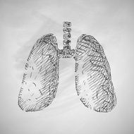 lung icon