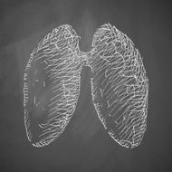 lung icon N2